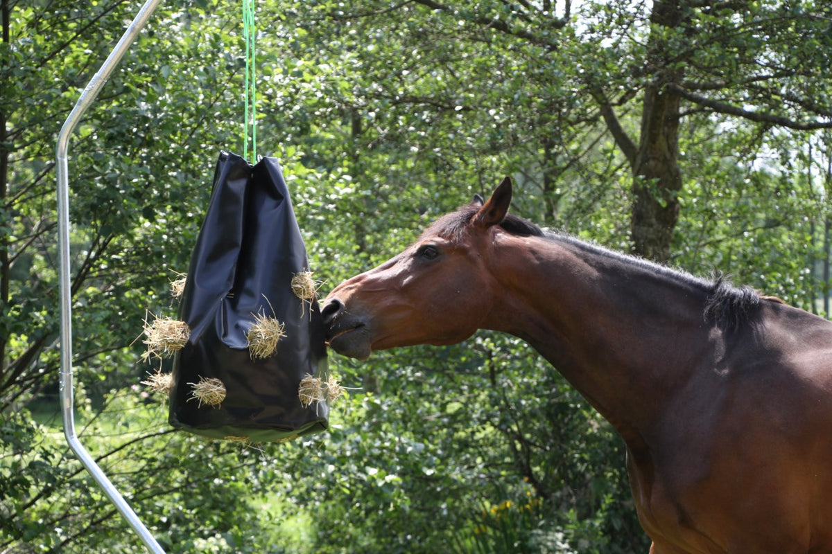 HayBag für den Stall