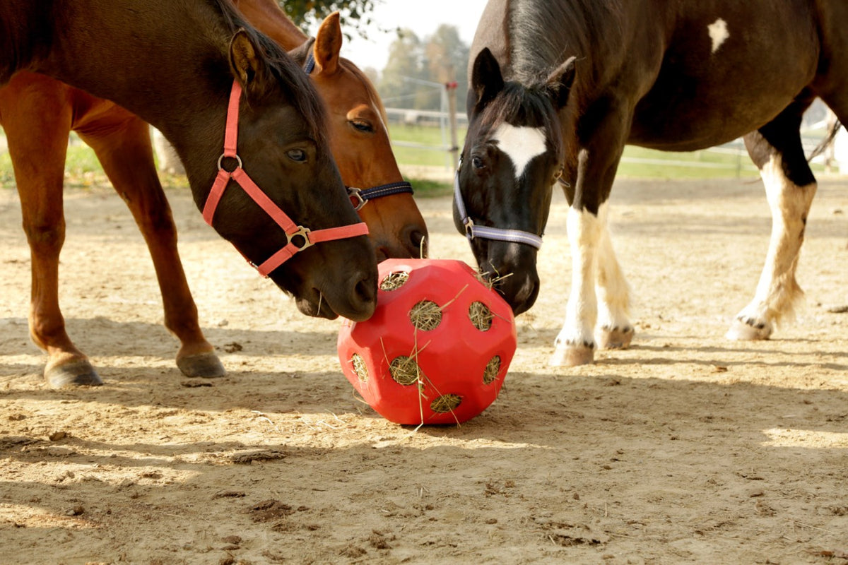 Futterspielball