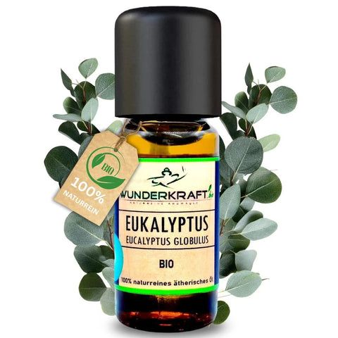 BIO Eukalyptusöl globulus, 100% naturreine ätherische Öle