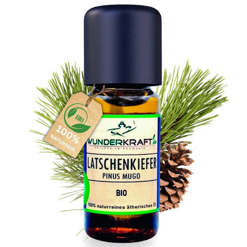 Bio Latschenkieferöl, 10 ml,  ätherisches Öl 100 % naturrein