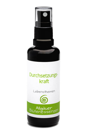 Durchsetzungskraft - Themenmischung 50 ml